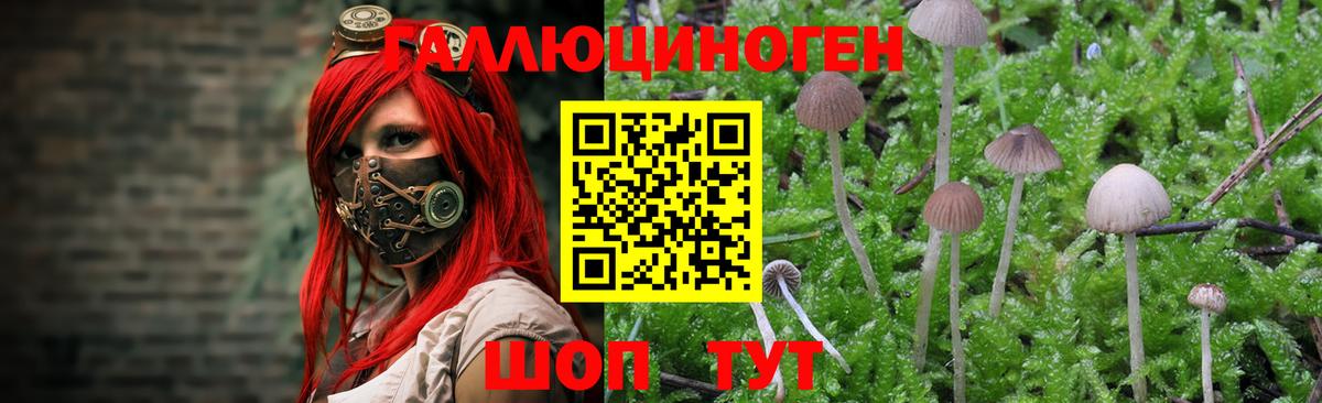 Асбест  Псилоцибиновые грибы прущие грибы  Вход с VPN  Галлюциногенные грибы Psilocybe 